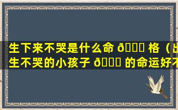 生下来不哭是什么命 💐 格（出生不哭的小孩子 🐋 的命运好不好）